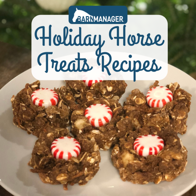 Holiday Horse Treat Recipes BarnManager