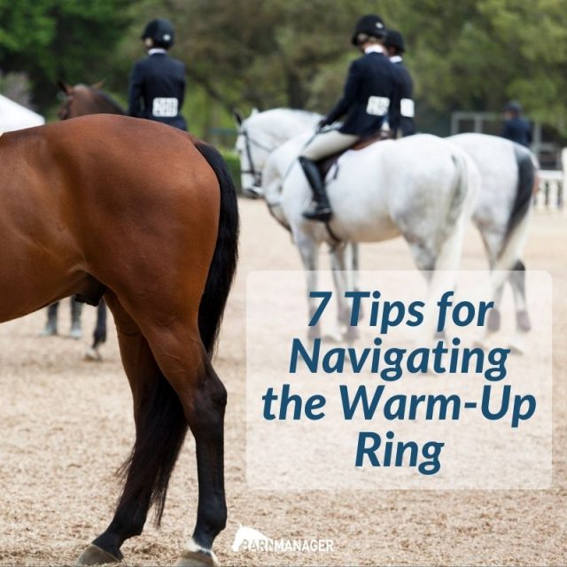 7 Tips For Navigating The Warm-Up Ring - BarnManager