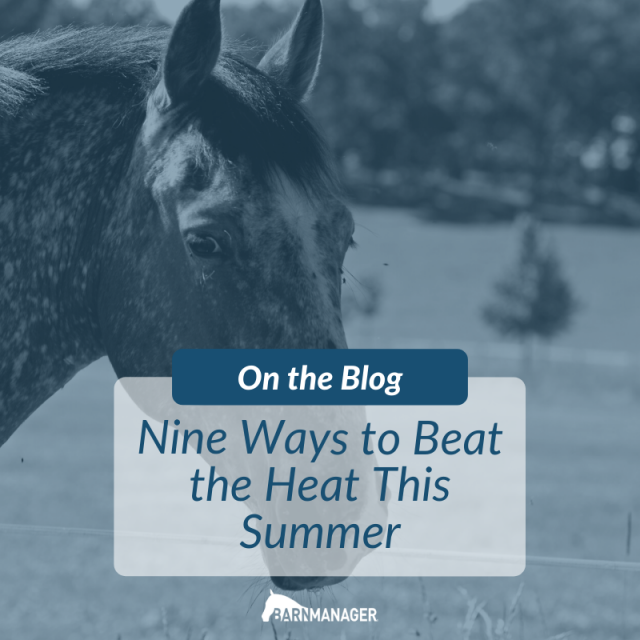 9 Ways to Beat the Heat This Summer - BarnManager